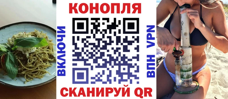 Canna-Cookies марихуана  Карасук 