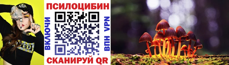 Галлюциногенные грибы MAGIC MUSHROOMS  что такое наркотик  Карасук 