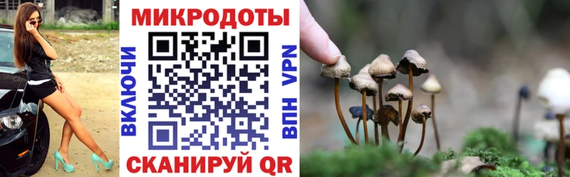 Галлюциногенные грибы GOLDEN TEACHER Карасук